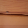 Жопорукий шабашник Андрей