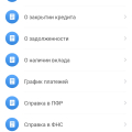 Заказ справок через приложение