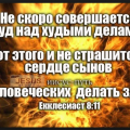 Позор для человечества.