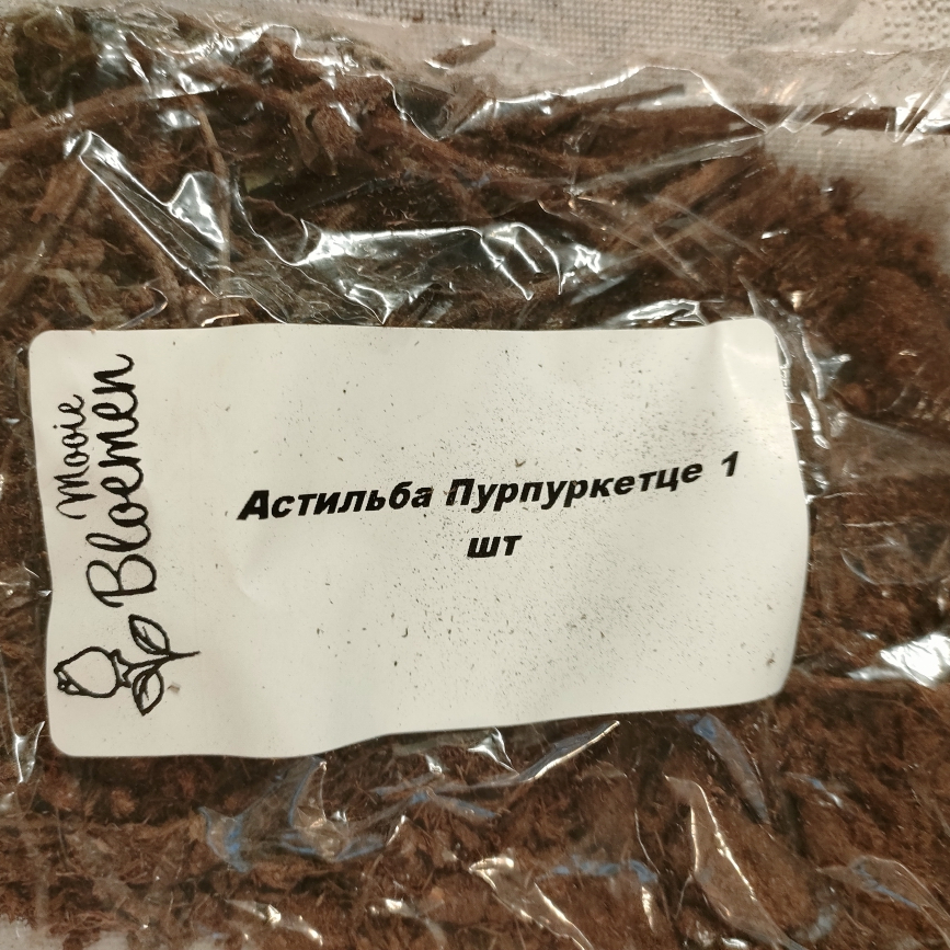 Клуб садоводов-профессионалов - Присылают вместо саженцев сухие палки