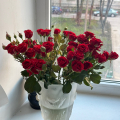 Отзыв о Flor2u.ru: 11 кустовых роз - супер)))