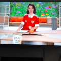 Ведущие первого канала , Доброе утро