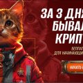 Отзыв о Информационный сайт Crypto.ru: Качественный сайт о криптовалютах