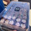Отзыв о Canape Club доставка еды: Canape Club