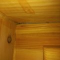 Отзыв о Дары кедра: От вас деньги от нас геморрой