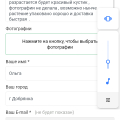 Любимый интернет - магазин.