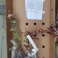 Качество и профессионализм