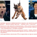 Неплохая передача, только без Машки Облигации