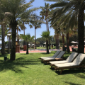 Club Med Palmiye