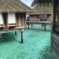 Отзыв о Club med: Рай каждый день