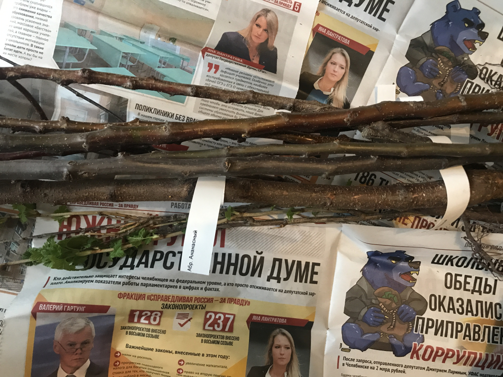 Магазин саженцев РУСАД.РФ - Покупка в Русад.рф