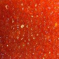 Купила икру в optomcaviar.ru