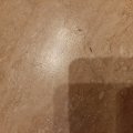 Ужасный Гостевой дом Апельсин во Внуково