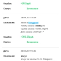 Выбор в пользу Letyshops
