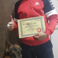 Отзыв о Школа дрессировки собак Akita Dog School: Akita Dog School официальное сообщение