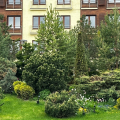 Отзыв о ЖК Vnukovo Country Club: Моя мечта сбылась, купили с мужем квартиру в этом ЖК