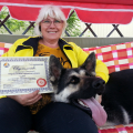 Akita Dog School официальное сообщение