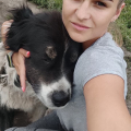 Отзыв о Школа дрессировки собак Akita Dog School: Дрессировка собак в Казани