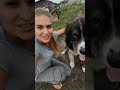 Отзыв о Школа дрессировки собак Akita Dog School: Дрессировка собак в Казани