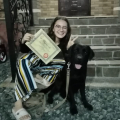 Отзыв о Школа дрессировки собак Akita Dog School: Akita Dog School официальное сообщение