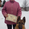 Akita Dog School официальное сообщение