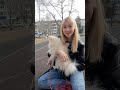 Отзыв о Школа дрессировки собак Akita Dog School: Профессиональная школа дрессировки собак Akita Dog School
