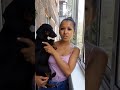 Отзыв о Школа дрессировки собак Akita Dog School: Дрессировка таксы