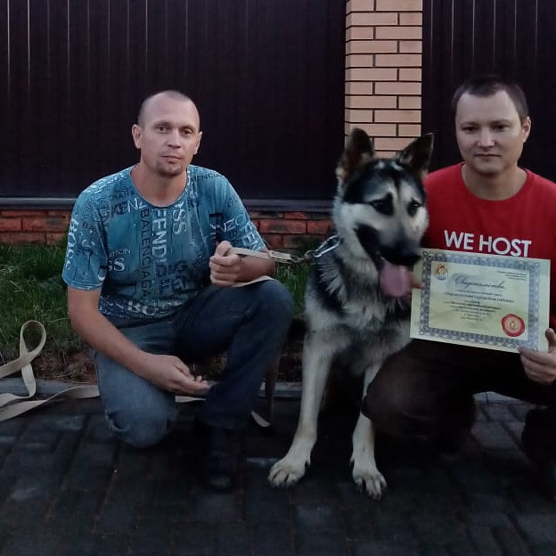 Школа дрессировки собак Akita Dog School - Akita Dog School официальное сообщение
