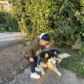 Отзыв о Школа дрессировки собак Akita Dog School: Привет от Семьи Громовых, наш ответ!