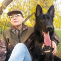 Отзыв о Школа дрессировки собак Akita Dog School: Привет из Города Менделеевск