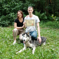 Akita Dog School официальное сообщение