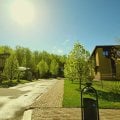 Отзыв о УК Марсель сервис: Чудесный Марсель