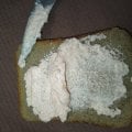 Отзыв о Русское море: Икра деликатесная