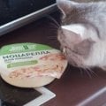 Отзыв о Сыр Эконива "Моцарелла для пиццы": Волшебная моцарелла
