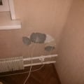 Сегодня 30.11. Договор 12/ot/14 от 09.10.2014. Дата начала работ –...